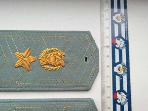 Погони ГЕНЕРАЛ ЛЕЙТЕНАНТ прокуратура