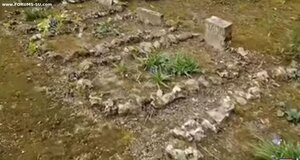 Умер Ален Делон.
