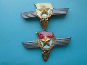 Лот из 2 знаков сверхсрочников ВВС и Армии СССР