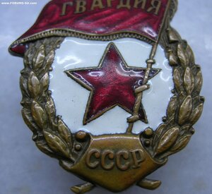 Гвардия МПС