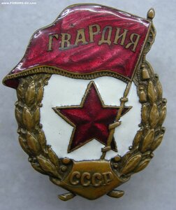 Гвардия МПС