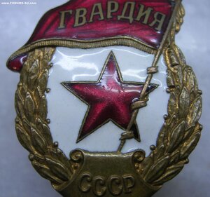 Гвардия МПС