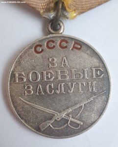 За Боевый Заслуги...без шомпола