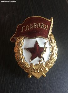 Гвардия на войну 2.