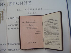 Подборка (солянка): МС 1,2,3 ст. Доки, грамоты МГ