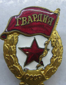 Гвардия на войну 2.