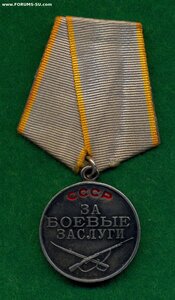 За боевые заслуги №1333095 Люкс!!!