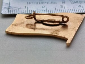 Знак;  "ДЕПУТАТ районної Ради міста Севастополь"