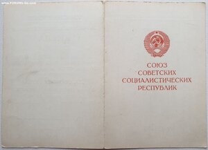 Оборона Киева № 876 на девушку-подпольщицу города Киева