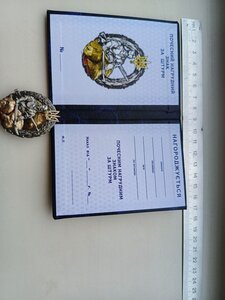 ПОЧЕСНИЙ НАГРУДНИЙ ЗНАК; ЗА ШТУРМ !