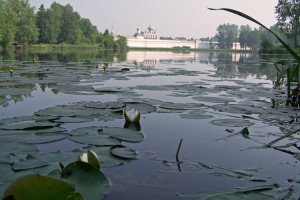 РОДНЫЕ МЕСТА.