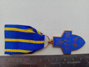 Відзнака формації (корпусу) січових стрільців (Київських)