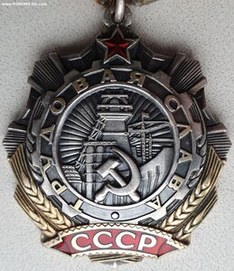 Трудовая Слава 3ст. № 623.060 клеймо эксцентрик