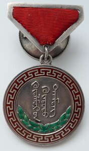 Монгольская ПТМ образца 1941г (Родной Сбор!)