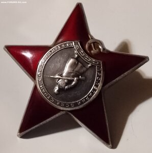 КЗ ( Нач. Терапевтического отд. По лошадям ) Сохран.