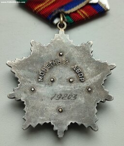 Дружба 19203 красивая