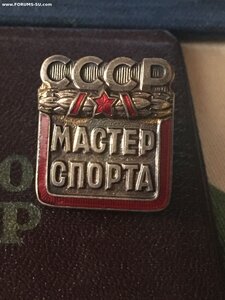 Мастер спорта по футболу