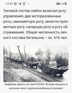 ОВ 2ст 495т.  ( 272 омб   "ОСНАЗ" ).