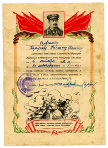 9 БВГ Корчунова Ф. И.