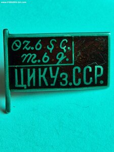 Член ЦИК Узбекской ССР