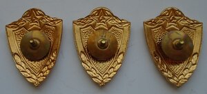 солдатская классность на винте 1 класс без мд, 3 класс ммд