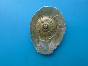 Знак Отличник МООП милиции