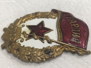 Гвардия МТХ
