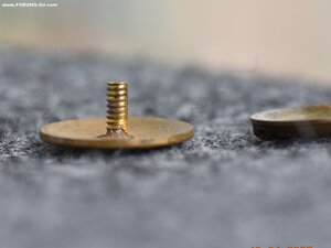 Республиканская коллегия судей по спорту Латвийской ССР.