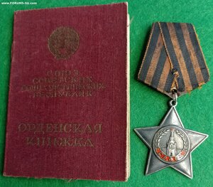 Слава 3 ст. 29ххх с документом бои под Новоржевом