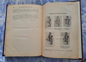Учебник судебной медицины. Ленинград 1928 г.
