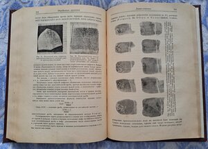 Учебник судебной медицины. Ленинград 1928 г.
