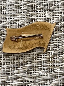 Депутатские и правительственные значки