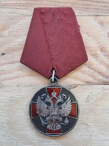 За заслуги перед Отечеством 2 ст.с документом.