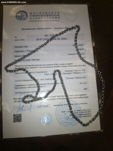 Цепь. платина. 58, 42 гр. заключение