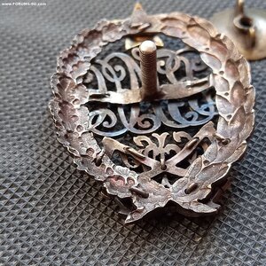 Знак 1919 год РСФСР в серебре. Из редких.
