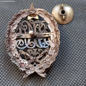 Знак 1919 год РСФСР в серебре. Из редких.