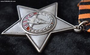 Орден Славы 3 степени № 234642