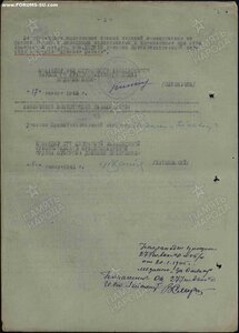 КОМПЛЕКТ НАГРАД НА ВОЗДУШНОГО СТРЕЛКА ШТУРМОВИКА