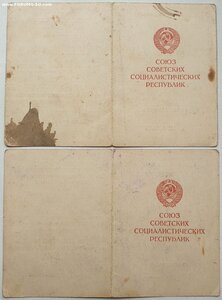 Вена и Будапешт из 131-го гв. ШАП