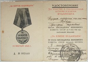 Вена и Будапешт из 131-го гв. ШАП