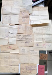 Архив на одного. 1920-30 г