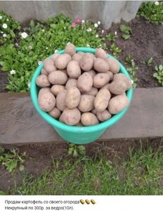 Экономика