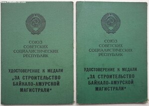 Два БАМа на супругов