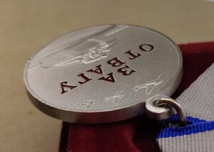 Медаль за Отвагу РФ РР + Проект 42174 - Штурмовик ЧВК
