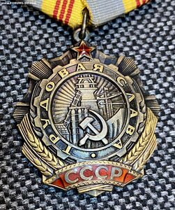 Комплект на женщину. ЗП, ТО, ТС-3, знак отличник