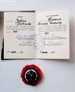 Знак Эстонских Красных Стрелков + Док + фото