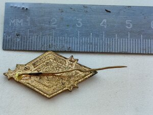 Знак СССР, 50 ЛЕТ Динамо, Львов