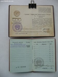 ГСТ и ТКЗ на одного. Документы.