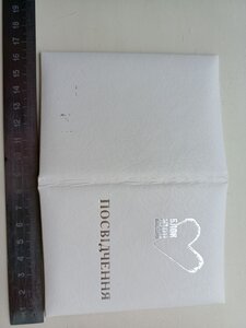 Медаль,видатний учасник виборів 2007 рік, фрачник