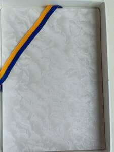 Медаль,видатний учасник виборів 2007 рік, фрачник